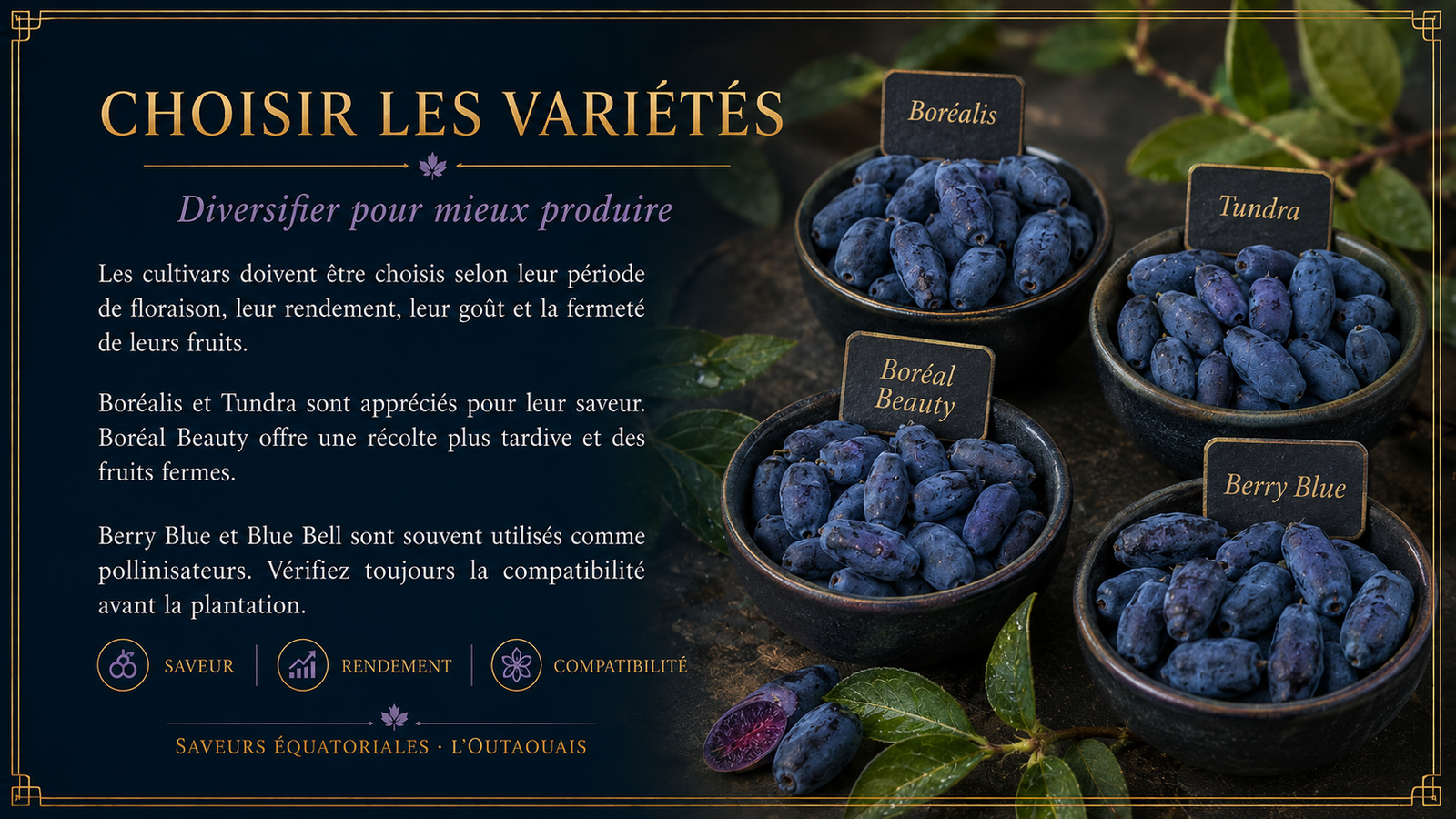 Choisir les variétés de camérisiers selon la saveur, le rendement et la compatibilité