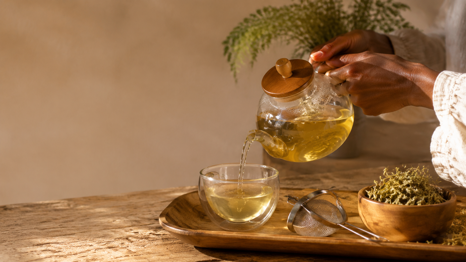 Tisane d’Artemisia annua versée par des mains noires